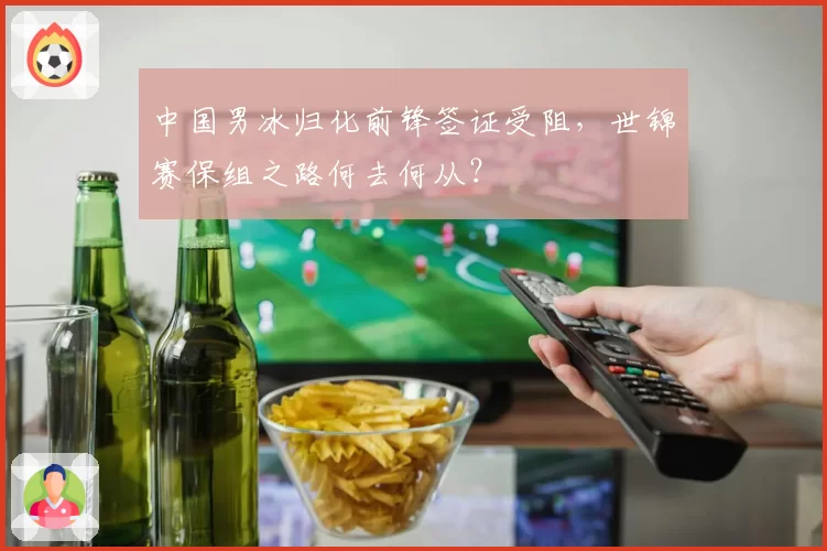 中国男冰归化前锋签证受阻,世锦赛保组之路何去何从?