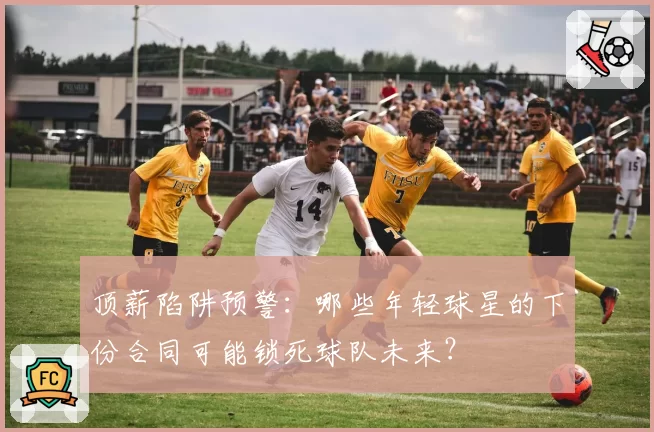 顶薪陷阱预警:哪些年轻球星的下份合同可能锁死球队未来?