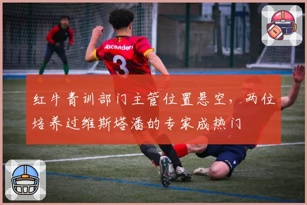 红牛青训部门主管位置悬空,两位培养过维斯塔潘的专家成热门