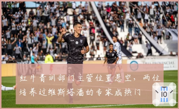红牛青训部门主管位置悬空,两位培养过维斯塔潘的专家成热门